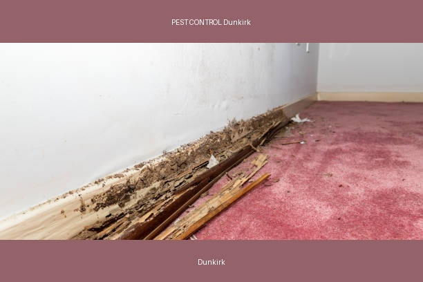 PEST CONTROL Dunkirk